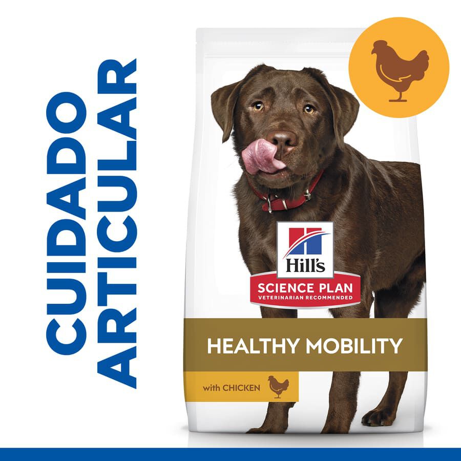 12 kg Hill's Science Plan Healthy Mobility Adult Large Pollo pienso para perros, , large Imagen numero 2